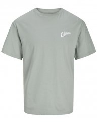 Jack & Jones Zekiel Crew Neck T-Shirt Iceberg Green