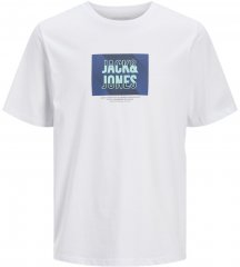 Jack & Jones Hudson Crew Neck T-Shirt White