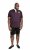 D555 NASH Short Sleeve Rugby Shirt Burgundy - Polos - Polos homme grande taille