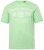 Men+ 424 T-shirt Trout Trophy Vert menthe - T-shirts - T-shirts Homme Grande Taille
