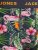 Jack & Jones JACPINK FLAMINGO TRUNKS 5 PACK Navy Blazer - Sous-vêtements & bain - Sous-vêtements Grande Taille
