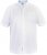 D555 James Short Sleeve Oxford Shirt White - Chemises - Chemises Grandes Tailles Hommes