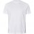 North Latitude T-Shirt 2-Pack White - T-shirts - T-shirts Homme Grande Taille