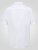 D555 James Chemise Oxford Manches Courtes TALL Blanche - TALL chemises - 