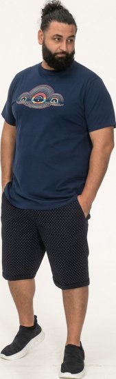 D555 Cheltenham Record With Reflection Printed T-shirt French Navy - T-shirts - T-shirts Homme Grande Taille