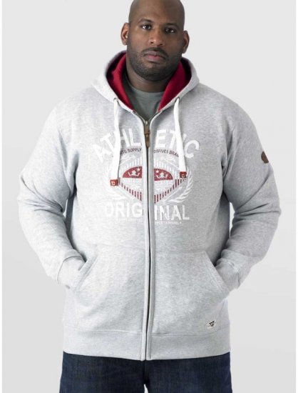 D555 Gabriel Athletic Zip Hoodie Grey - Sweatshirts & hoodies - Sweatshirts/Hoodies grande taille homme