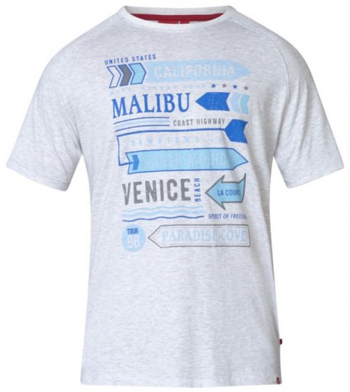 D555 Norris T-shirt Grey - T-shirts - T-shirts Homme Grande Taille