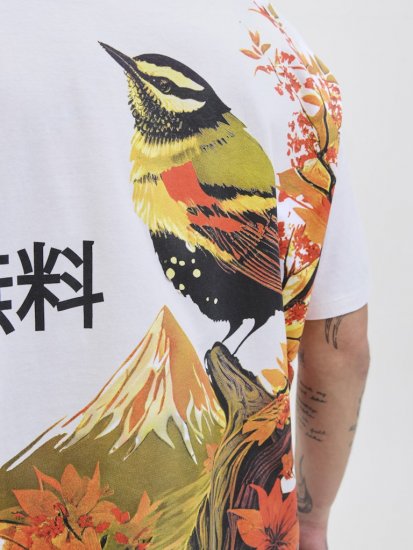 Jack & Jones Fuji Crew Neck T-Shirt Bright White - T-shirts - T-shirts Homme Grande Taille