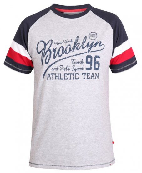 D555 Jones T-shirt Grey - T-shirts - T-shirts Homme Grande Taille