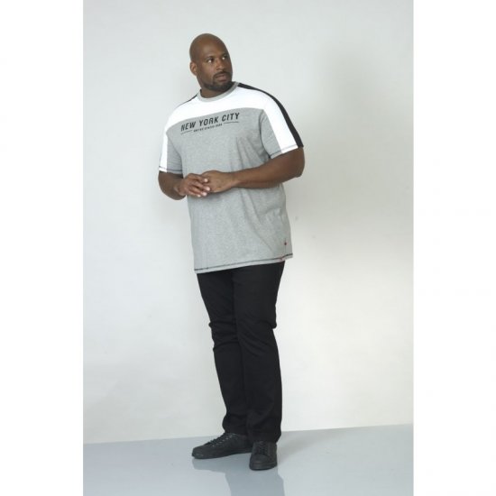 D555 Alvester T-shirt Grey - T-shirts - T-shirts Homme Grande Taille