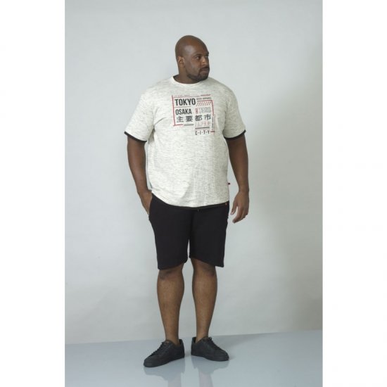 D555 Merlin T-shirt Grey - T-shirts - T-shirts Homme Grande Taille