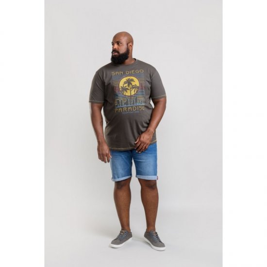 D555 Stanley T-shirt Khaki - T-shirts - T-shirts Homme Grande Taille