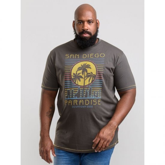 D555 Stanley T-shirt Khaki - T-shirts - T-shirts Homme Grande Taille