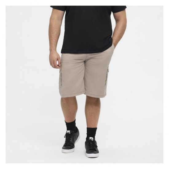 North Latitude Cargo Shorts Sand - Shorts - Shorts hommes grande taille